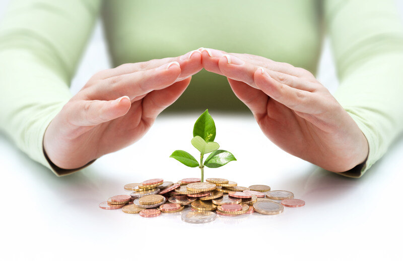 Person's hand protecting concept of plant in stack of coins representing bank account