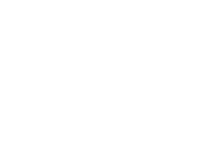 e4e_partner_light_hollow
